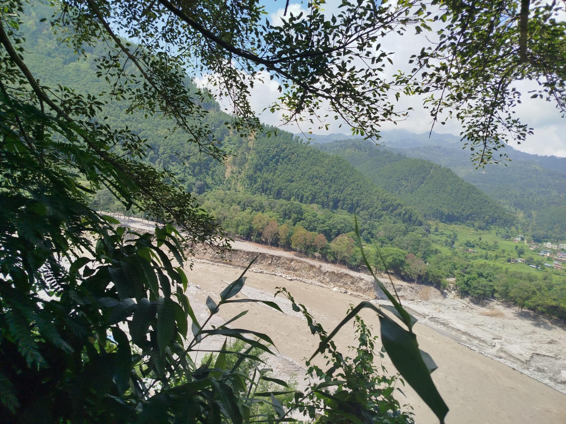 Il letto del fiume e i versanti segnati dall'alluvione, visti tra gli alberi